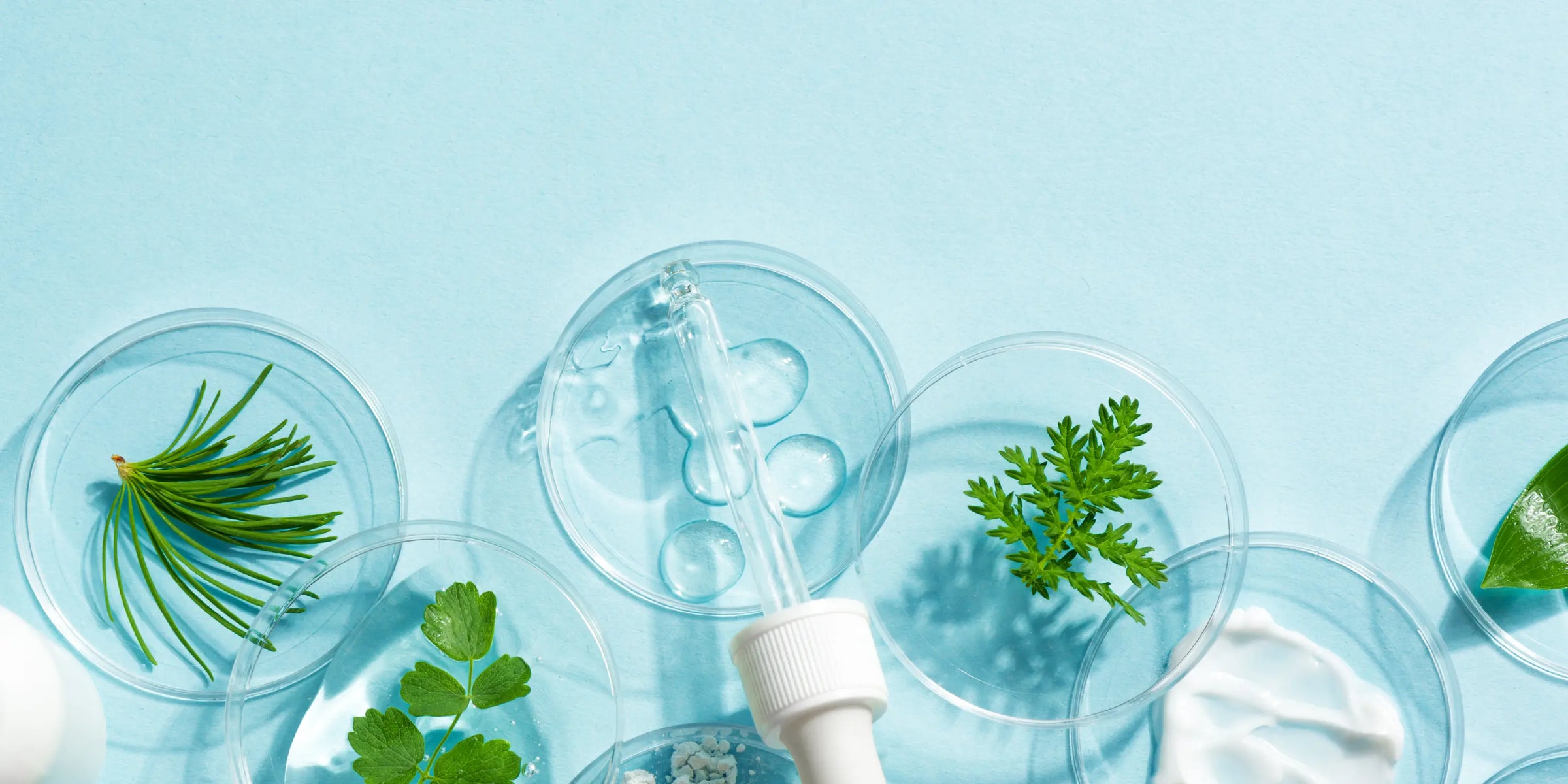 elementrē-Protocol-kits Cosmetique Totale